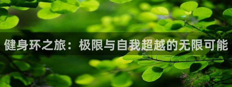 意昂2官网