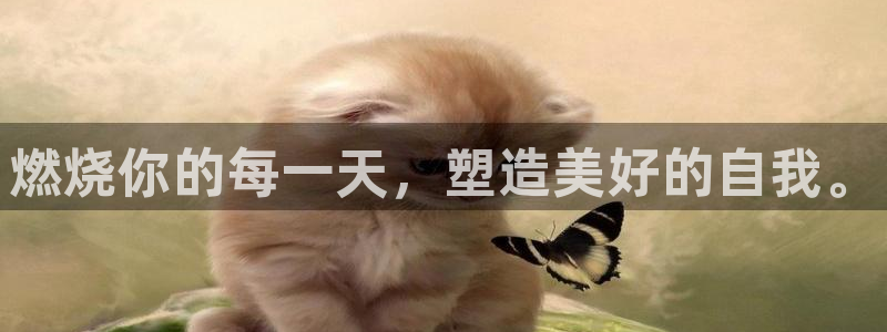 意昂2平台