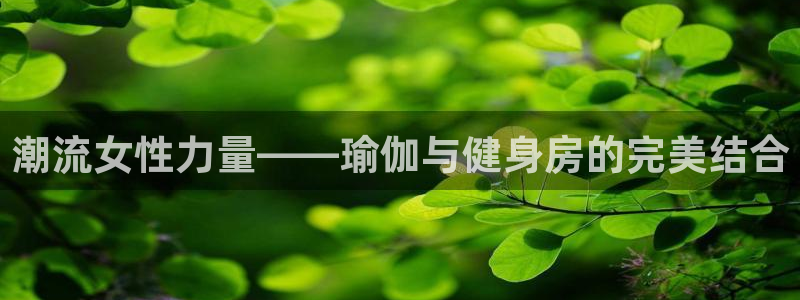 意昂2招商