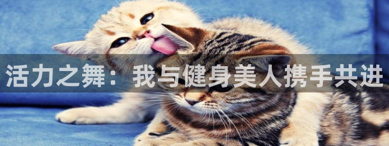 意昂2招商